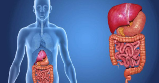 बिग्रदो पाचन प्रणालीलाई कसरी सुधार्ने